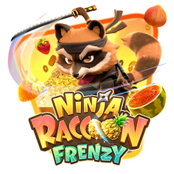 Ninja Raccoon Frenzy